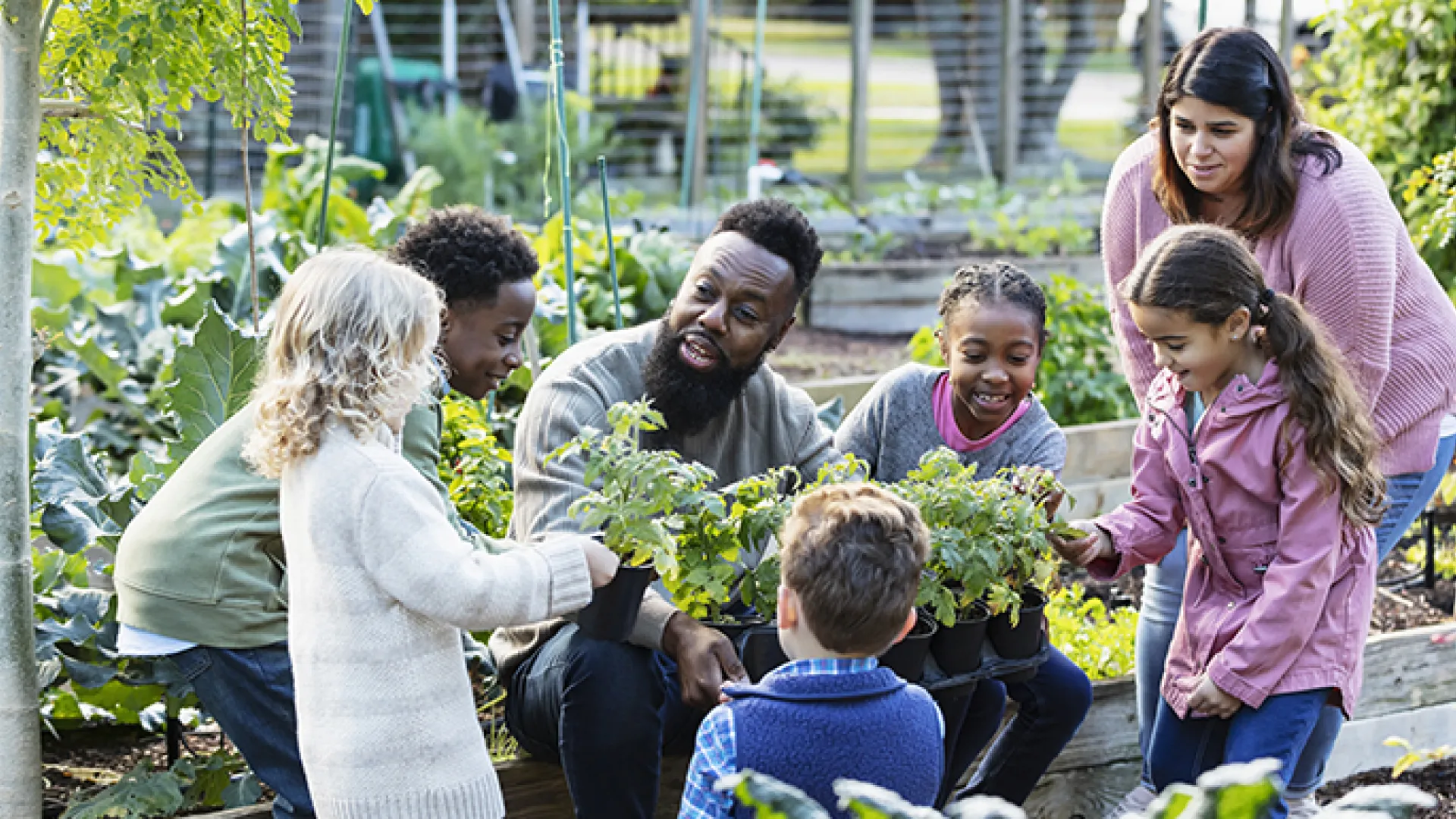 Cost comparison of UniAMP sputum swab and Tongue swab UniAMP MTB for Tuberculosis in India